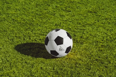 مبارياتدوريأبطالأفريقيا2022بطولةملحميةتوجتبالأسودي